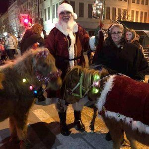 Meet your Posher, Carole